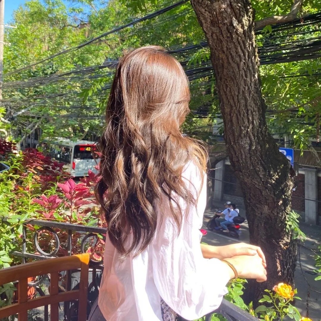 最狂野的梦想:征服珠峰